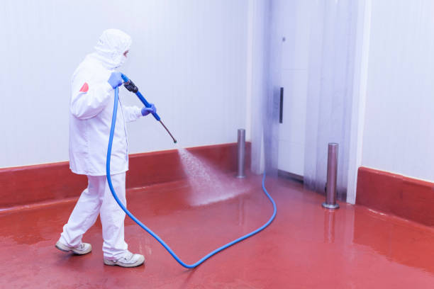 Best Restaurant Pressure Washing  in Watkins Glen, NY