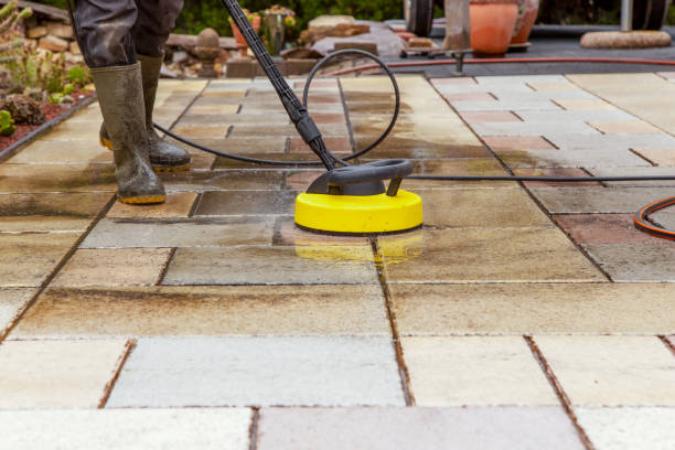 Best Roof Washing  in Watkins Glen, NY